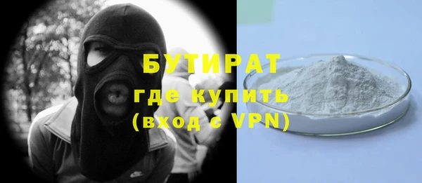 гашик Алексин