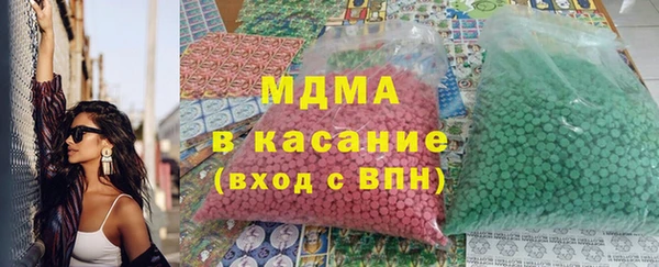 гашик Алексин