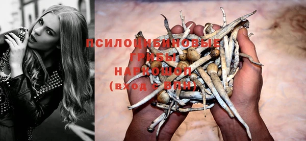 гашик Алексин