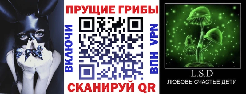 Купить закладки  Верхоянск  Псилоцибиновые грибы ЛСД 